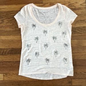Express coral palm tree top